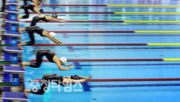 제90회 전국체육대회 수영경기가 열린 대전 용운국제수영장에서 여자 고등부 선수들이 출발하고 있다./유현덕기자