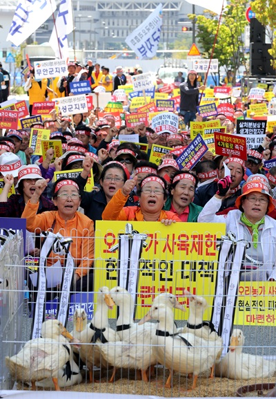 한국오리협회 소속 농업인들이 27일 정부세종ㅈ청사 농림축산식품부 앞에서 집회를 열어 AI방역 조치에 따른 오리농가 피해대책 수립을 촉구하고 있다. /뉴시스