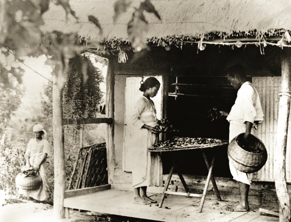 1940년대 충북의 양잠농가에서 채반을 이용한 누에치기 모습. /충북도 제공