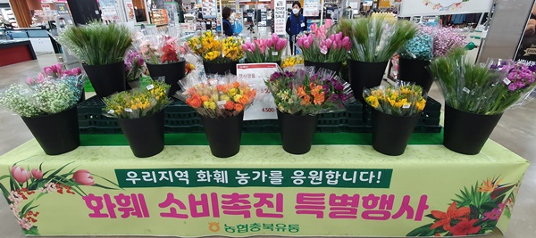 농협충북유통 하나로마트 화훼 특별판매장 모습. /충북농협 제공