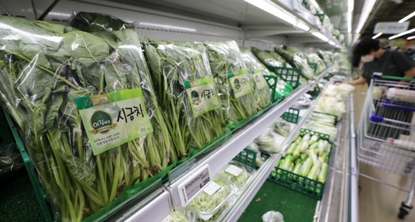 첨부용. 폭염이 이어지는 가운데 일부 채소 가격이 급등하고 있다. 한국농수산식품유통공사(aT)의 농산물 유통정보에 따르면 최근 상추, 시금치, 깻잎 등 엽채류(잎채소류) 가격이 크게 올랐다고 밝혔다. 28일 서울 서초구 농협하나로마트 양재점에서 시금치가 판매되고 있다. 2021.07.28. /뉴시스