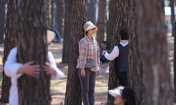 지난해 송호숲길 자연명상 행사에서 참가자들이 나무명상을 체험하는 모습. /영동군 제공